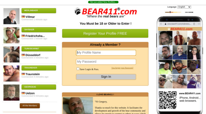 What You Need to Know about Bear411 for Successful Online Dating